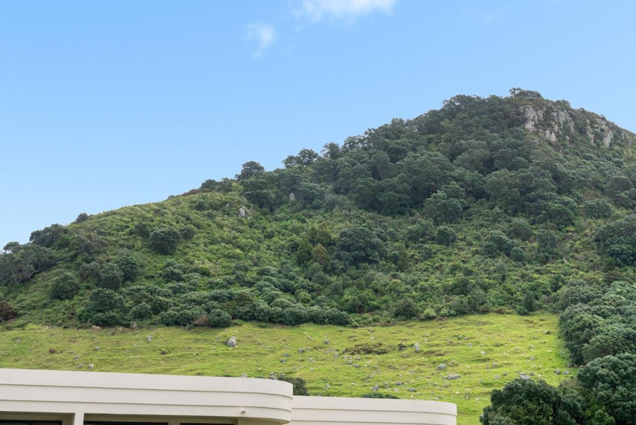 Oceanside Apartment With Garden Views Mount Maunganui Ngoại thất bức ảnh